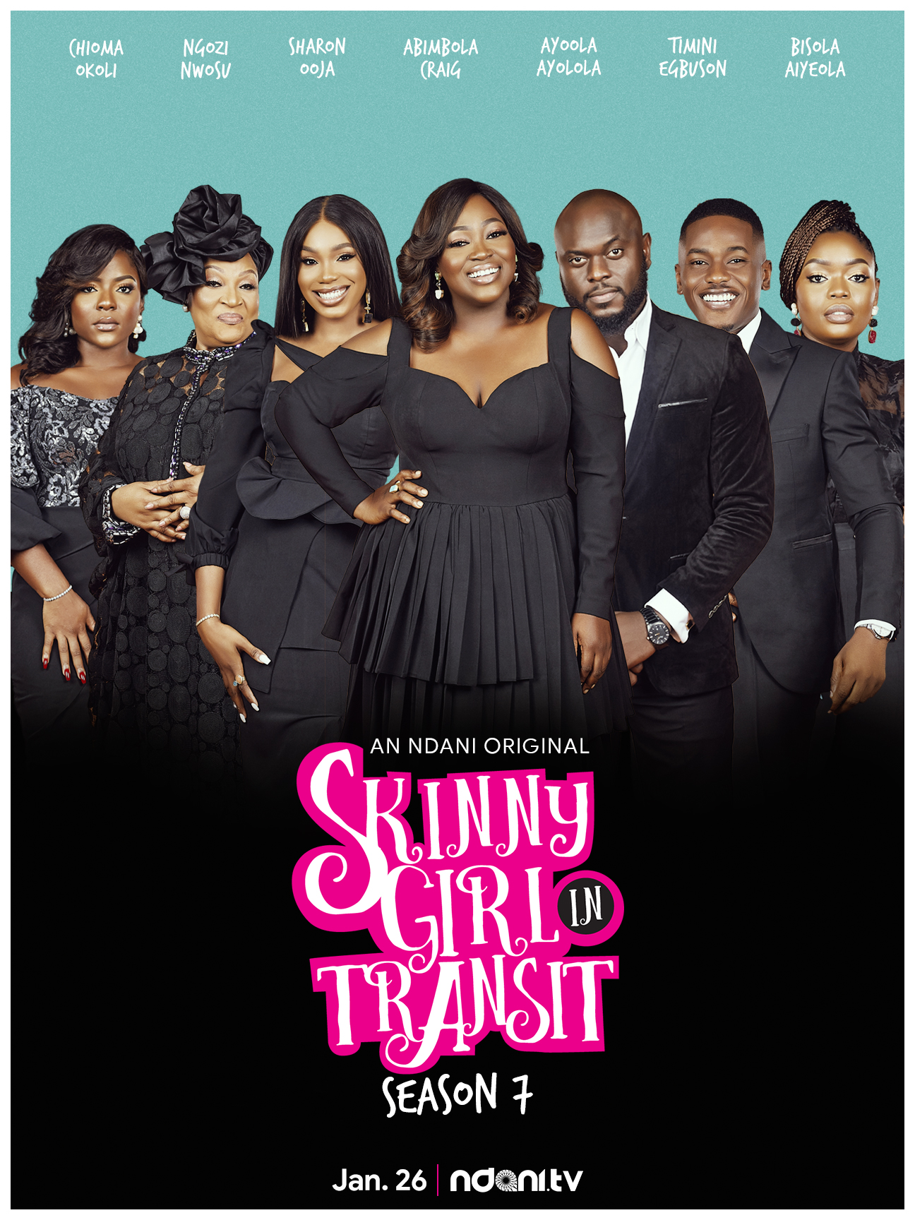 Skinny Girl in Transit poster