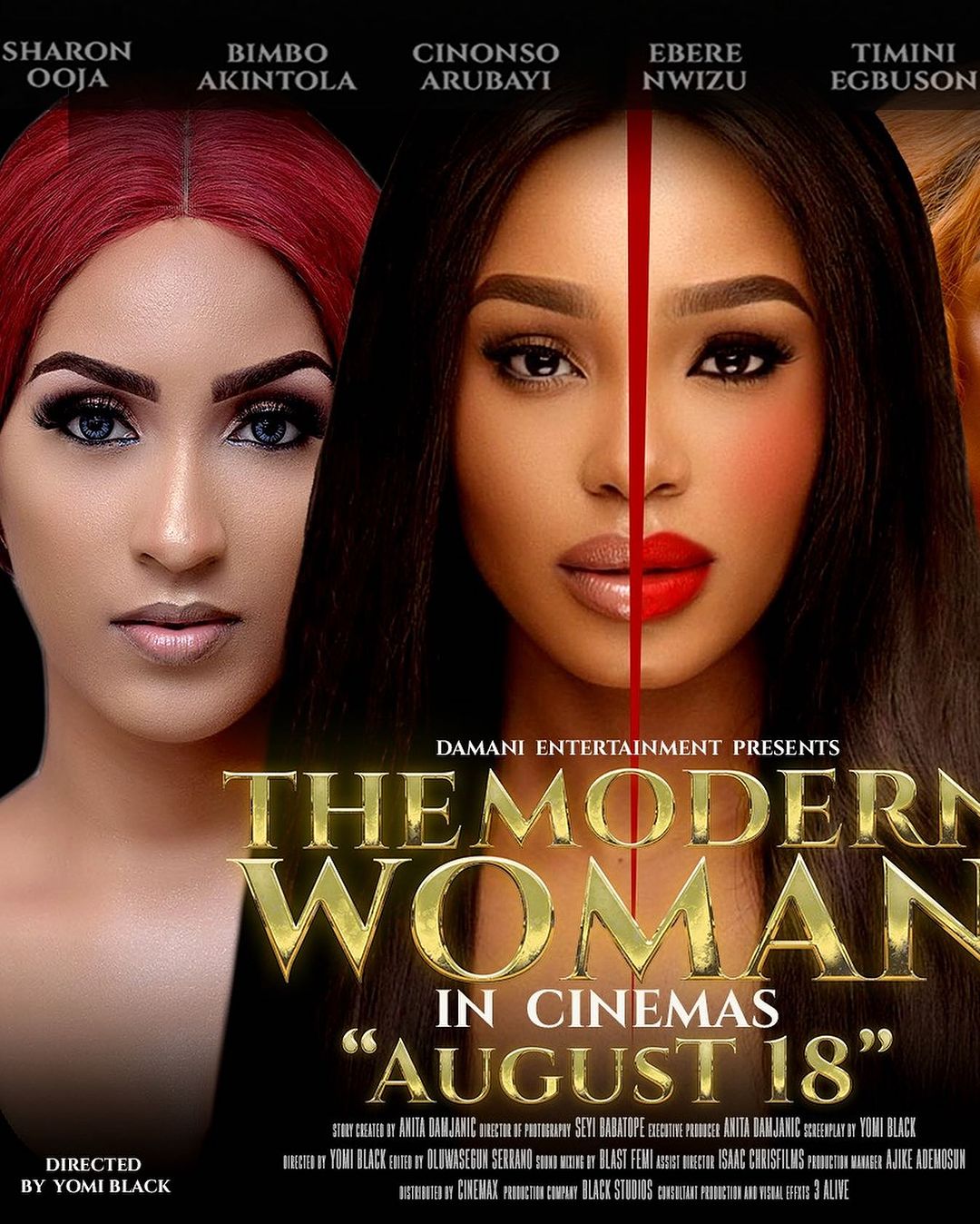 The Modern Woman poster