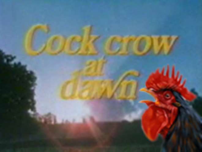 Cock Crow at Dawn poster